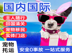 龙洞堡空运公司国际宠物托运 【国